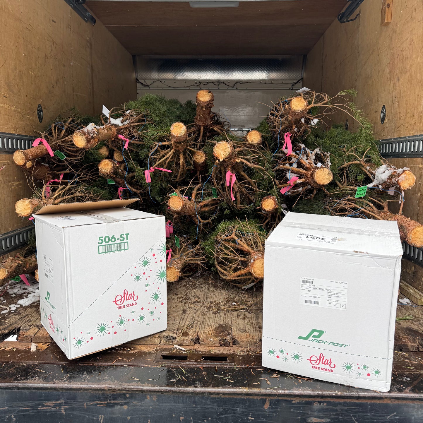 $10 Donation to Trees From Santa