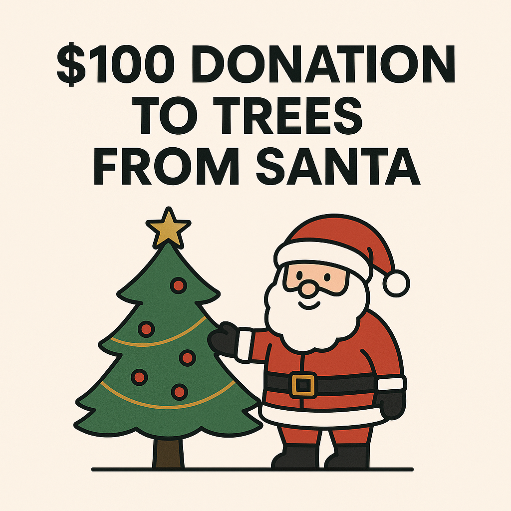 $100 Donation To Trees From Santa